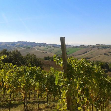 Agriturismo Le Vigne 페르모 외부 사진