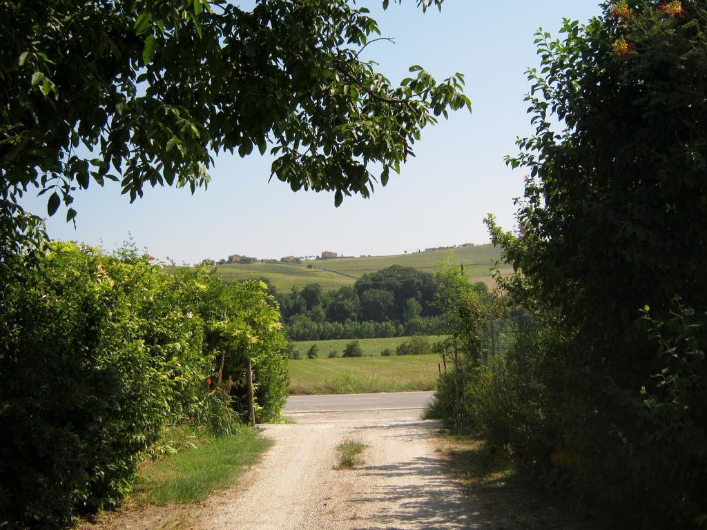 Agriturismo Le Vigne 페르모 외부 사진