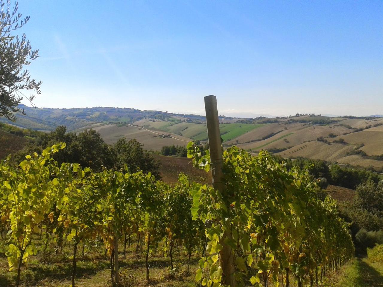 Agriturismo Le Vigne 페르모 외부 사진