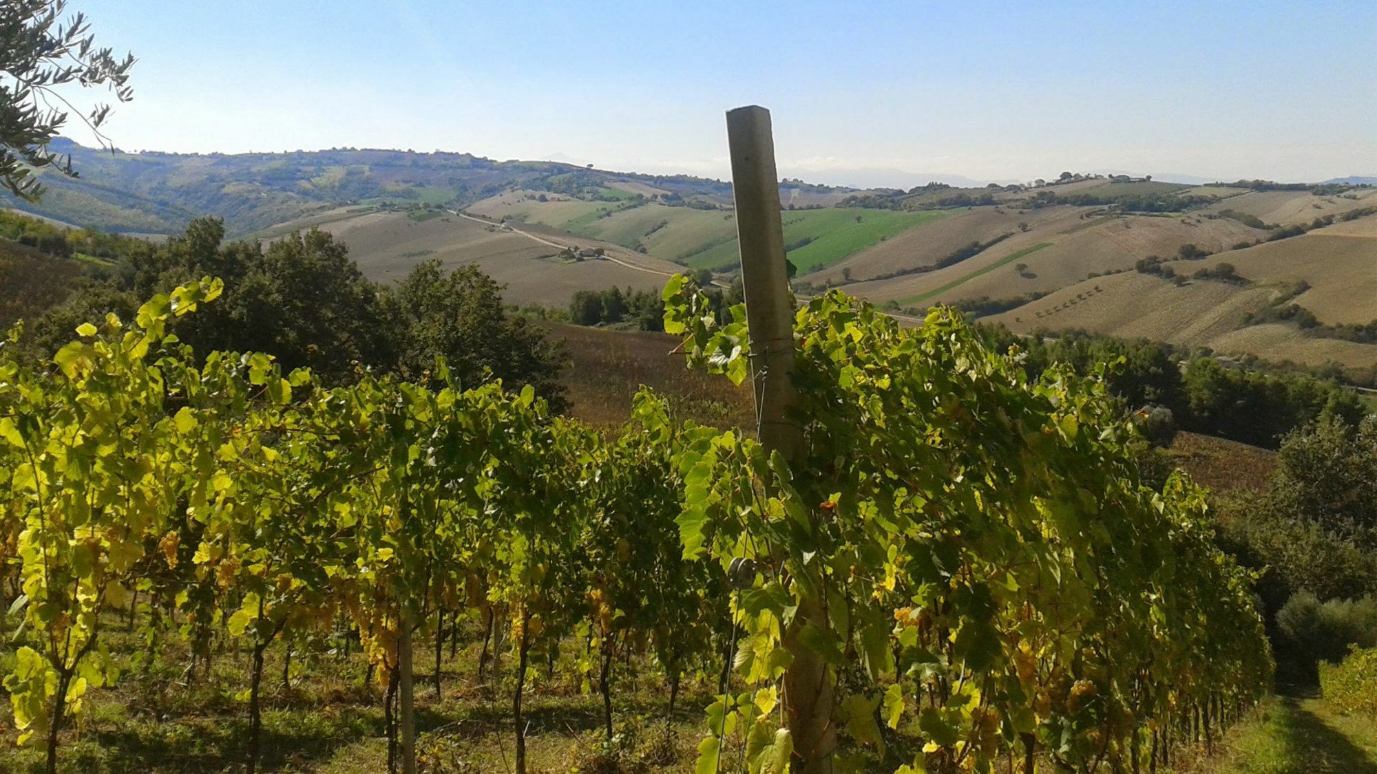 Agriturismo Le Vigne 페르모 외부 사진